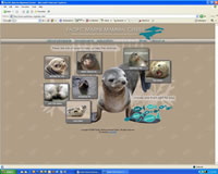 pacific marine mammal center
